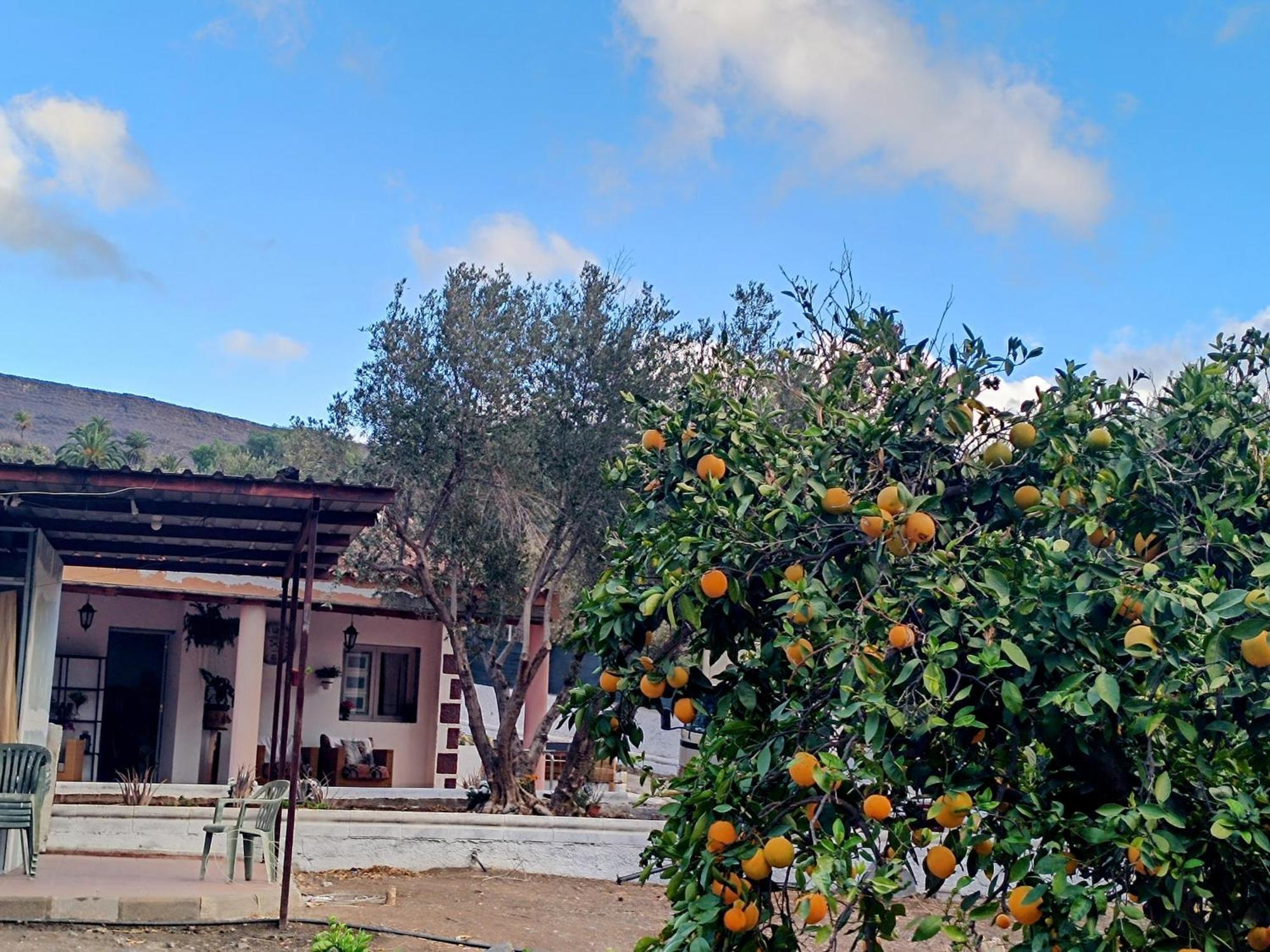 Santa LuciaLa Casa De La Pradera住宿加早餐旅馆 外观 照片